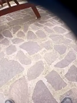 pino870 online show from March 29, 1:55 pm