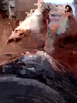 Vanja33 online show from November 3, 3:36 pm