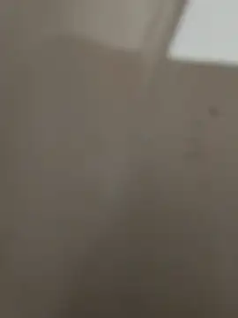 magro248 online show from November 22, 8:30 pm