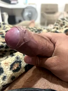 Lp201  online show from November 14, 6:42 pm