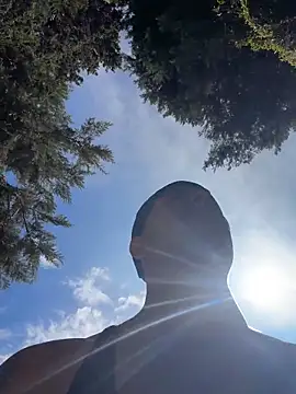 RaySullivan online show from April 24, 8:11 pm