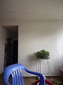 Nick juniorrx online show from November 28, 4:20 pm