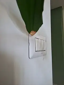 CuteDaddy92 online show from April 29, 12:54 pm