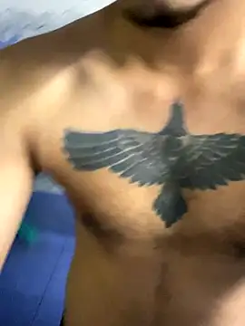 Nonstop brutal online show from November 13, 8:41 am