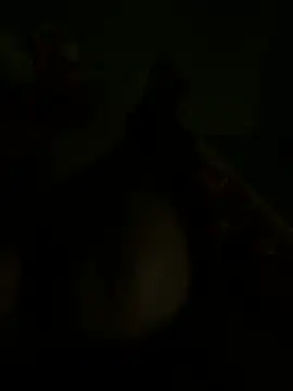 Lancer350 online show from January 12, 1:53 am