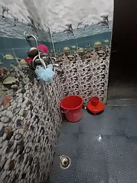 Sainicpl online show from April 19, 2:33 am