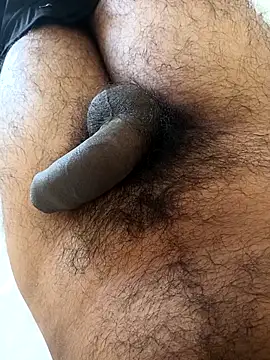 tamilbbc1 online show from December 19, 5:15 am