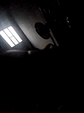 277T online show from December 23, 4:21 am