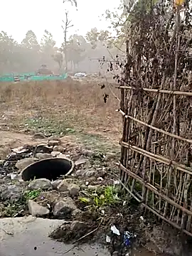 desi alpha boy online show from February 1, 1:48 am