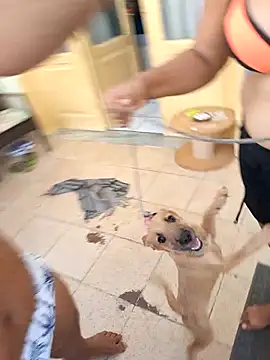 wakahoe online show from March 22, 4:56 pm