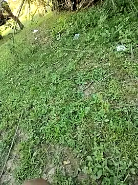 88zaifkhan88 online show from March 21, 11:14 am