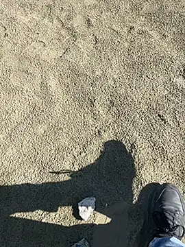 ratemydickbabe online show from December 1, 9:34 am