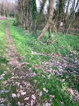 marconordic online show from March 21, 3:05 pm