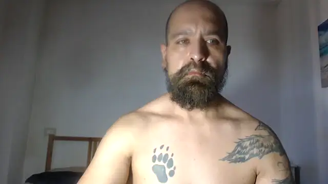 AMIRDIB2025 online show from June 17, 4:53 pm