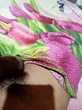 DkSafadoo online show from December 20, 2:29 am