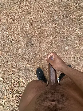 PublicBbc online show from April 14, 7:02 pm