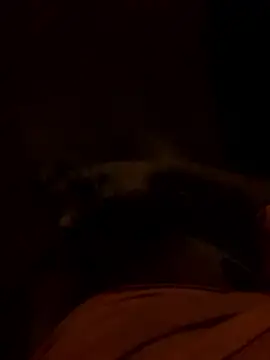 PublicBbc online show from January 9, 12:32 pm