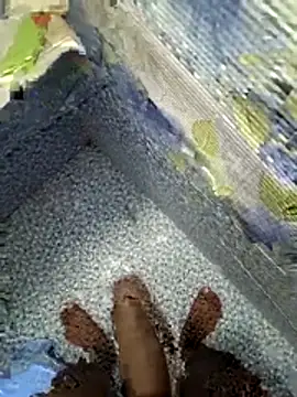 shurti51278 online show from March 19, 12:19 pm