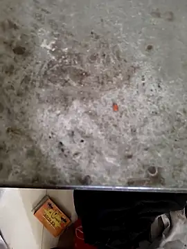 Niteenku online show from March 28, 11:10 am