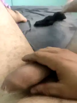 rrsafadao online show from February 26, 2:40 pm