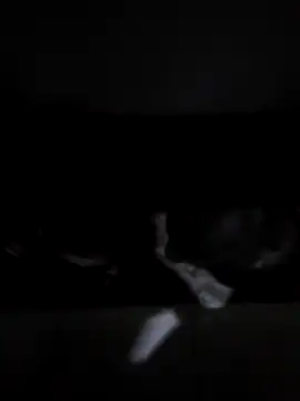 b12sri online show from December 14, 12:39 am