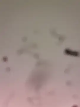 M8ygcthf3 online show from March 22, 6:51 am