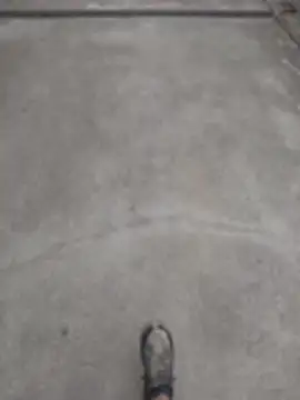 SnappedHagfish online show from June 17, 5:26 pm