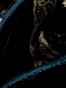 aman4404 online show from March 5, 6:26 pm