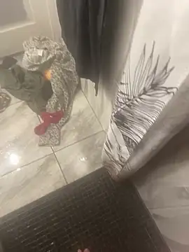 Miguel 667 online show from February 9, 11:26 am