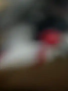 Sammyboii006 online show from February 11, 6:29 am