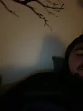 LienalWarplane online show from March 14, 2:07 am