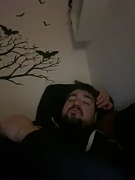 LienalWarplane online show from February 26, 2:02 am