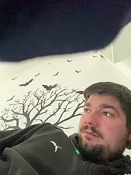 LienalWarplane online show from March 17, 4:09 pm