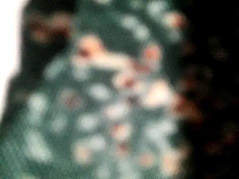 dildobetto89 online show from January 16, 12:13 am