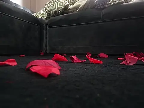 SecretPulse online show from February 14, 7:36 am