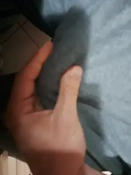 ShyGuyI online show from January 19, 1:02 pm