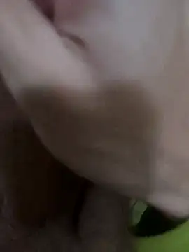 lhow online show from February 27, 4:02 am