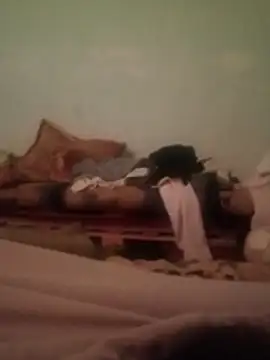 gladiator434s online show from April 29, 11:59 am