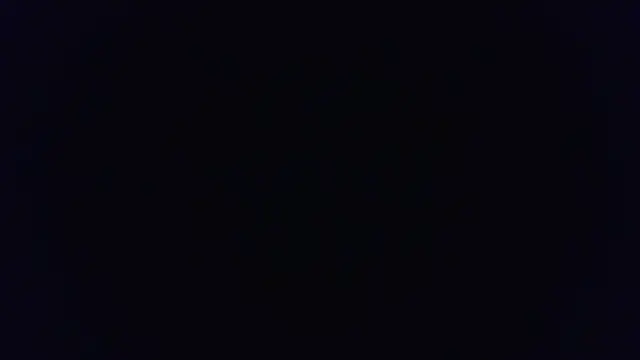 BotanicEntry1 online show from April 10, 1:45 am