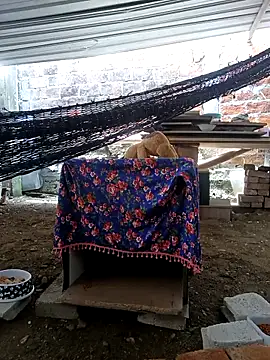 cielo420 online show from April 23, 5:37 pm