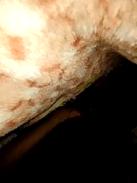 rohit16770 online show from January 18, 7:05 pm