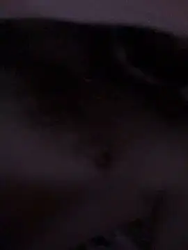 Di717 online show from March 23, 9:21 pm