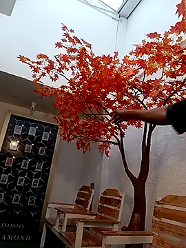 Dante Knox online show from April 27, 11:29 am