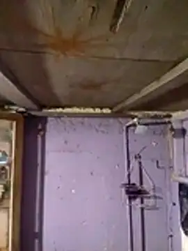 Guanatos13 online show from February 2, 5:17 am