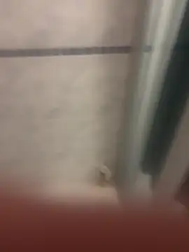 Hamsterdich online show from March 15, 5:15 am