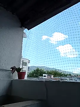 torvyHot online show from May 9, 7:37 pm