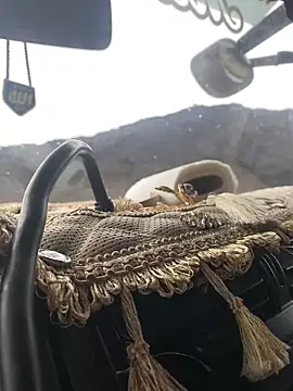 Nizipli srkn online show from February 7, 6:09 am