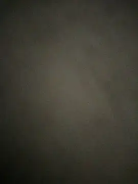 butterfly116 online show from January 16, 9:45 am