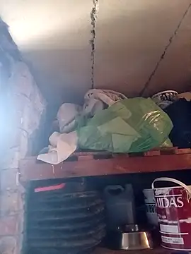 dicklife3485 online show from April 27, 10:12 am