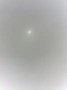 sharck12 35 online show from January 18, 11:12 am